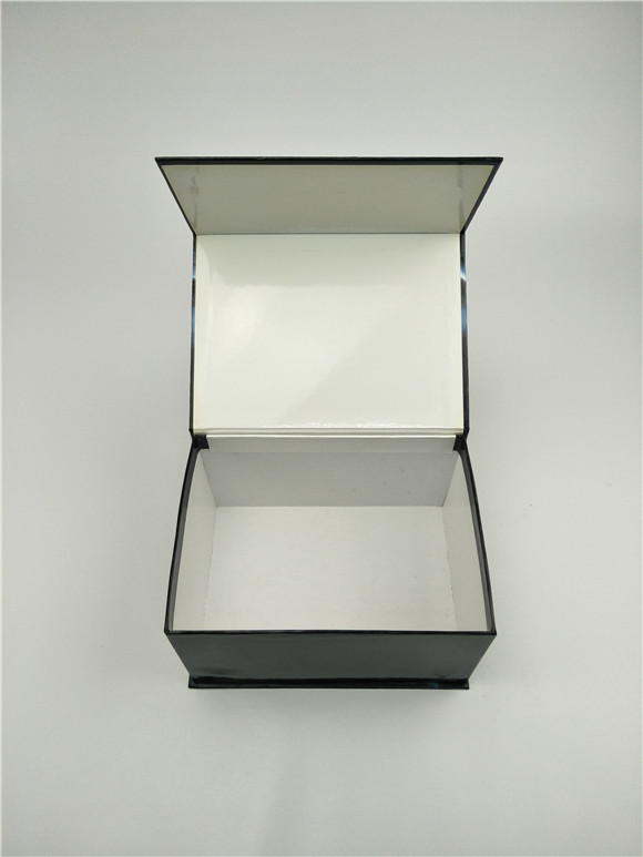 電子狗車載包裝 電子狗車載包裝